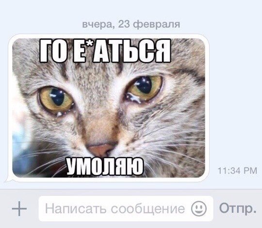 Подкаты в сети -7