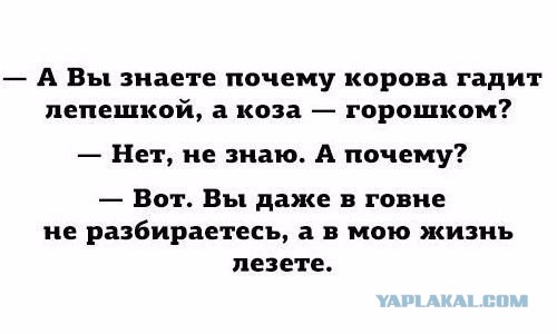 Картинки из сети