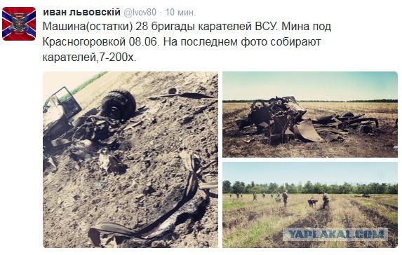 Перемирие кончилось, едва начавшись. Часть 10