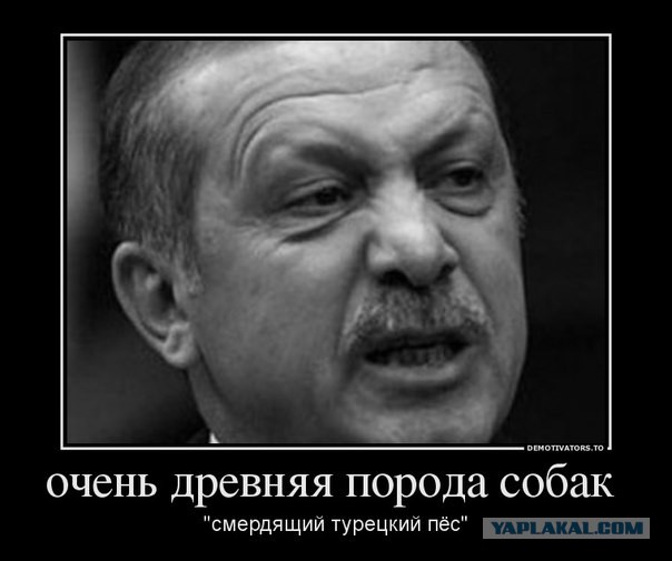 Карикатуры