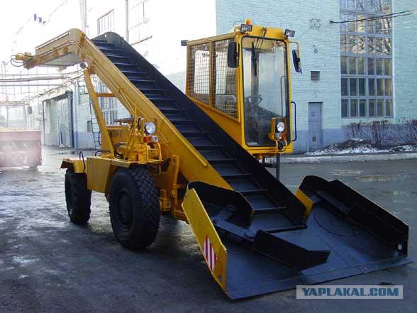 Дети пришли смотреть мусоровоз