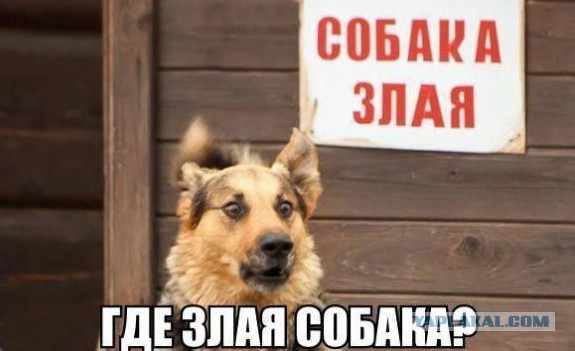 Керчане полюбили мост через пролив