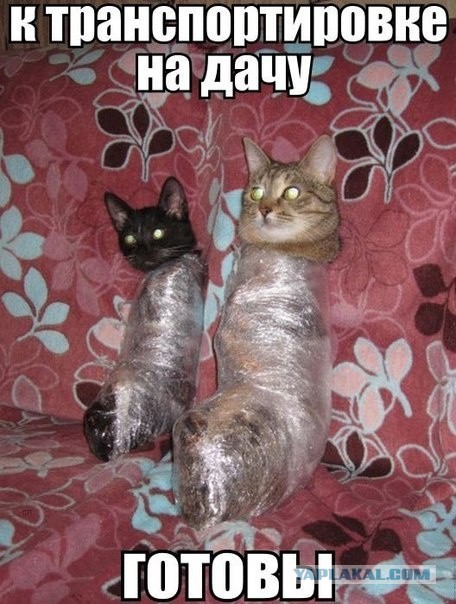 Дачные приколы