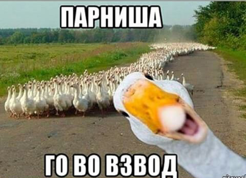 Wargaming 36