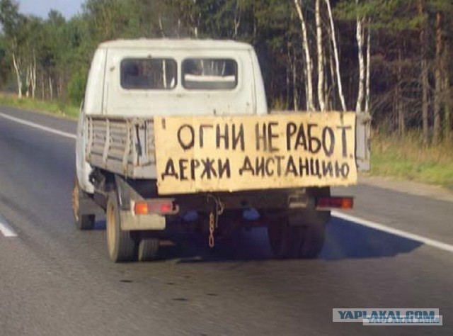 Кошка скрылась с места преступления