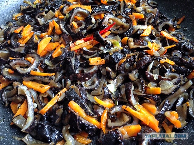 Скоблянка из кукумарии