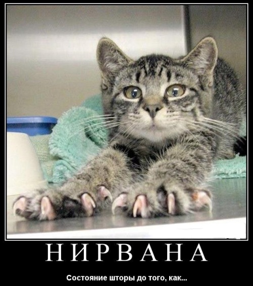 Немного картинок на выходные     20 шт