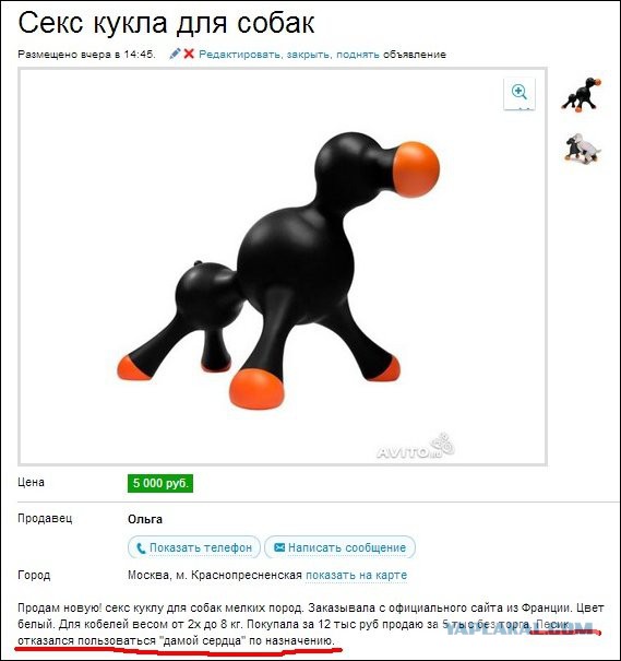 Юмор не для всех