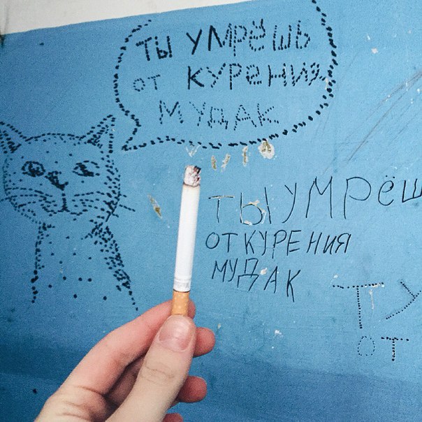 Ужасы и приколы из соцсетей 18+