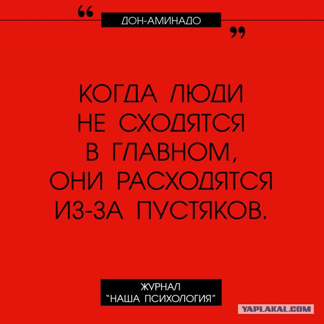 Причина всех проблем сударынь