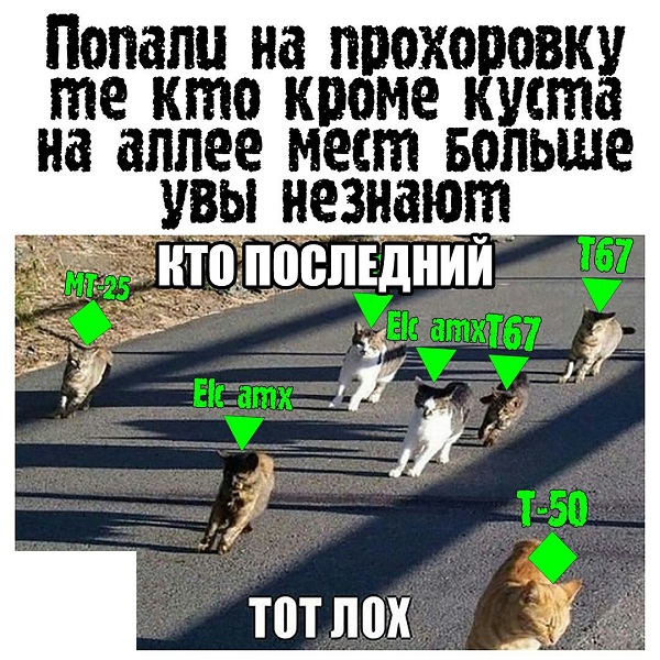 Wargaming 41