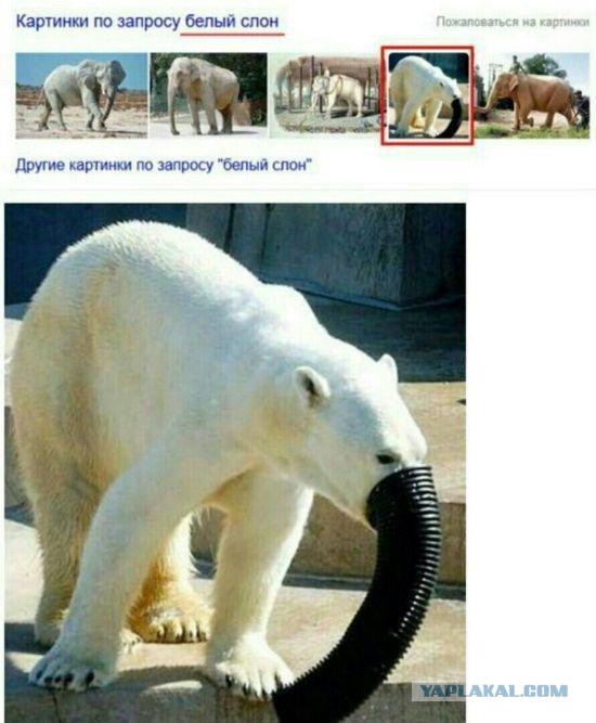 Пятничная подборка картинок