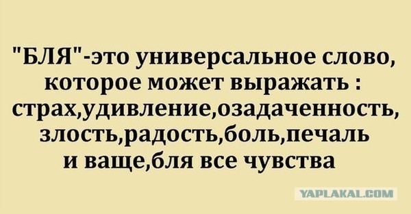 Как можно заменить слово сука День мата. Когда он? - ЯПлакалъ