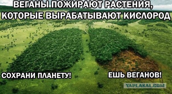 Падение вегана