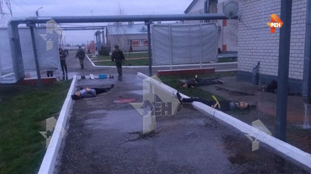 Шесть боевиков ликвидированы при нападении на полк Росгвардии в Чечне
