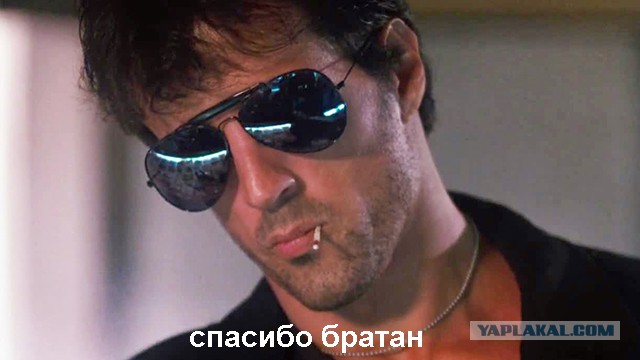 В Индии страдающую от жажды кобру напоили водой из бутылки