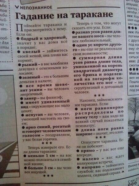 100 картинок для поднятия настроения!