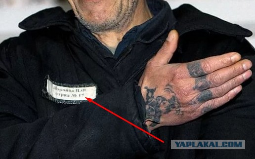 А я иду такая вся в Дольче Габанна