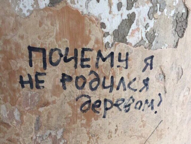 Смешные объявления, надписи и вывески