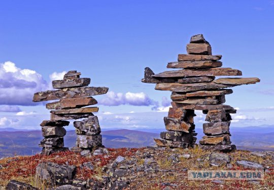 Викинги. История американских походов