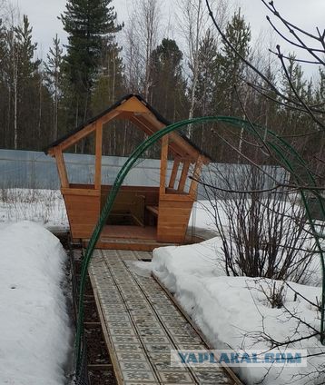 Нашаманили, ироды?