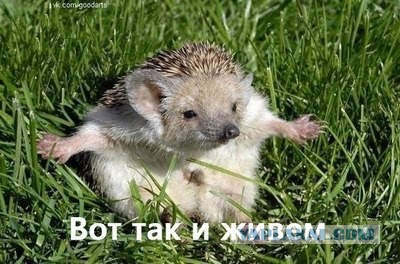 Чуток картинок 29.05.20