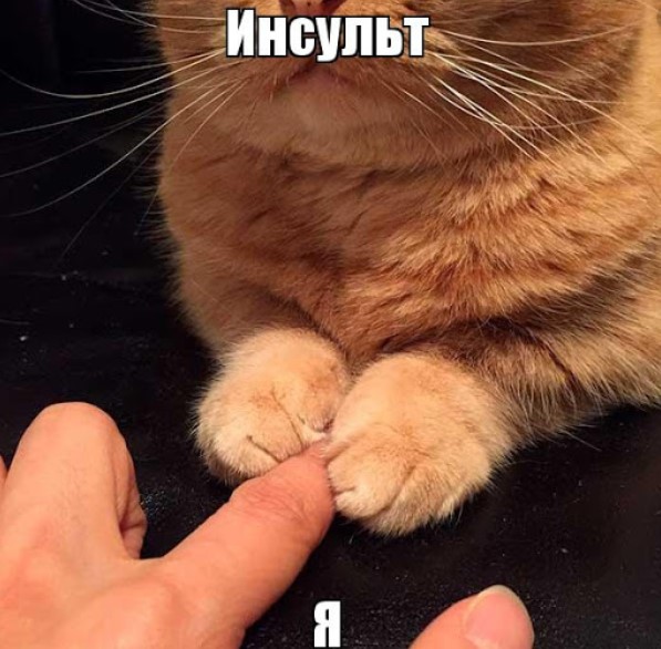 А был ли инсульт?