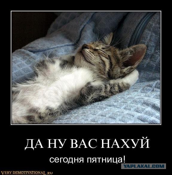 Цитаты...