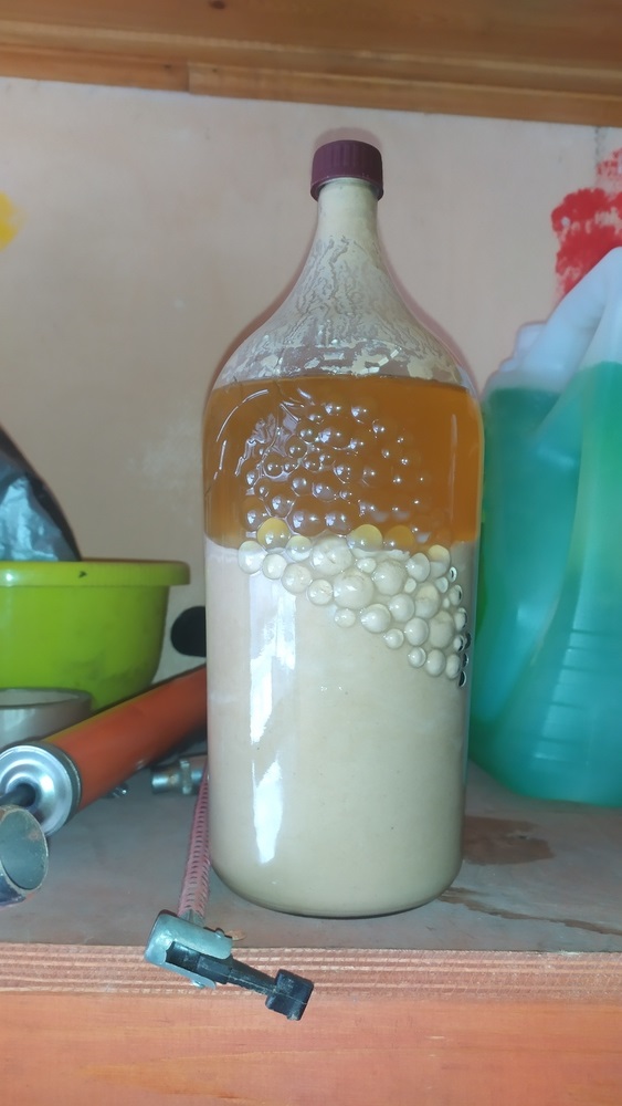 Жизнь и пивоварение