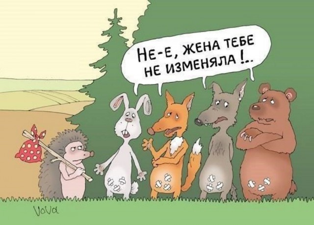 Кошка родила ежат