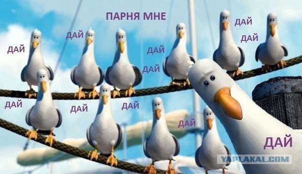 С битой на гаишника