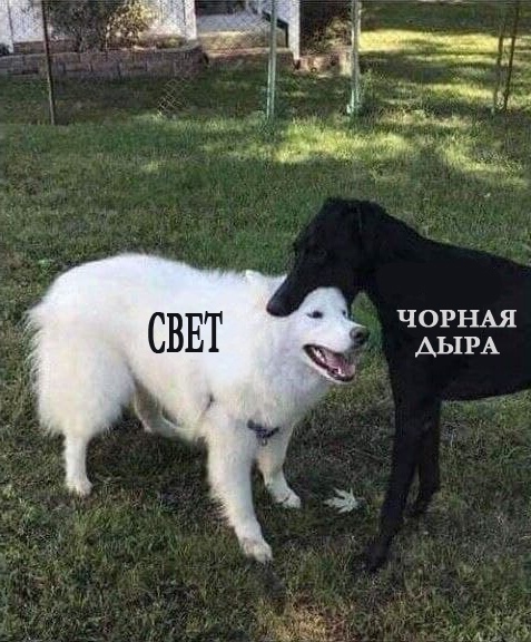 Так себе картинки 30.07.21