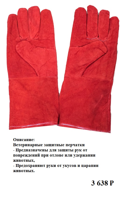 Побежден, но не сломлен..
