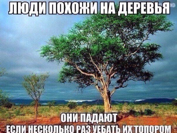 В пятницу чуть-чуть, уж точно можно деграднуть!