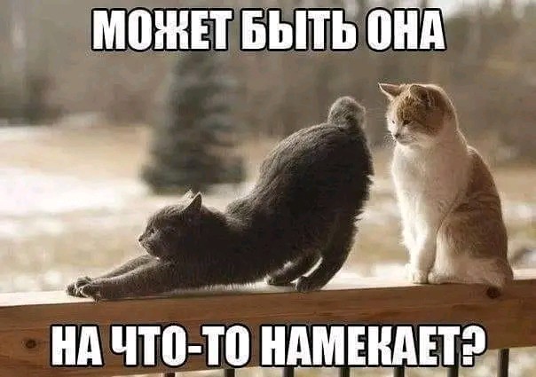 Почему нормальный секс уже не в моде ?