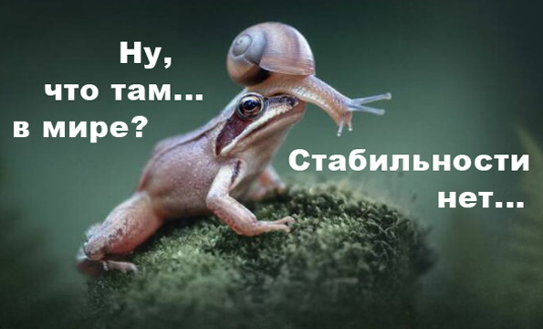 ФотоВинегрет