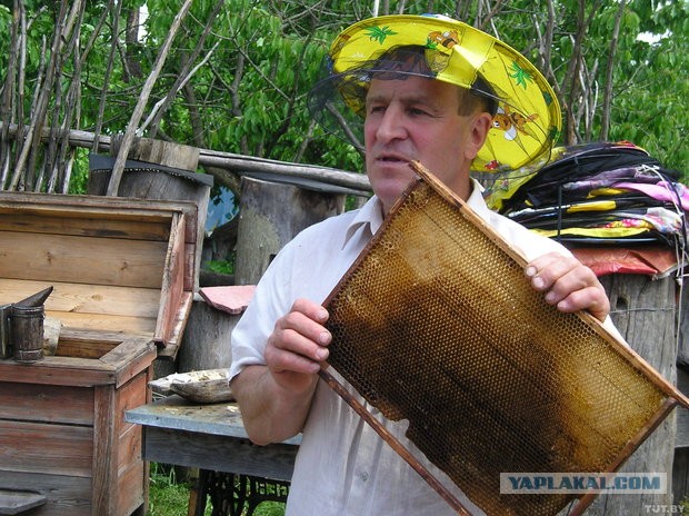 Бизнес в деревне: пчеловод.