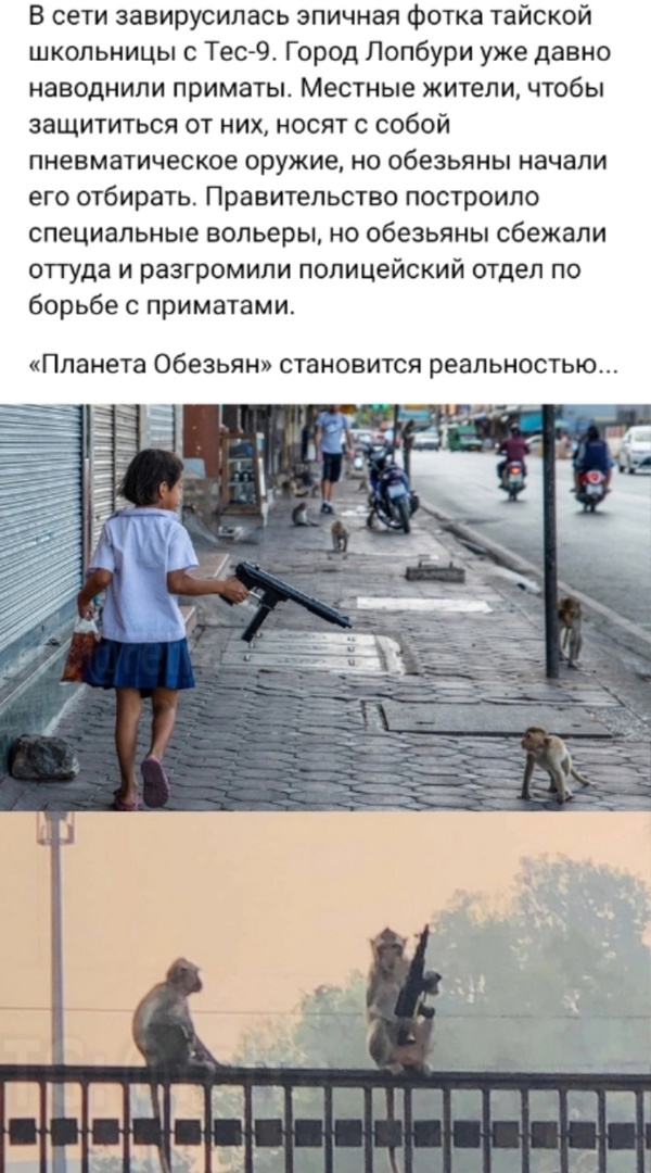 Так себе картинки 01.12.24