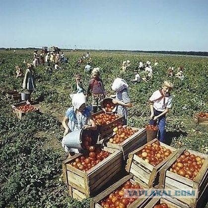 Фотографии из прошлого нашей страны – 89