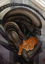 Спящий кот