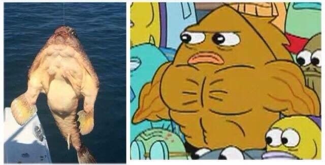 Веселое настроение в картинках 24.07.25