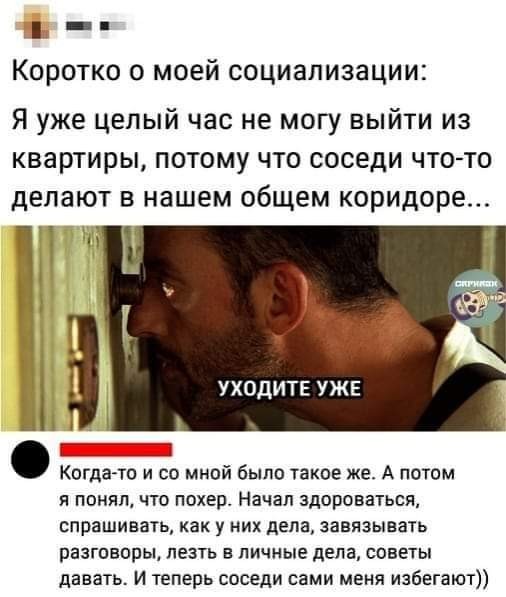 Весёлый полтишок 08.09.25