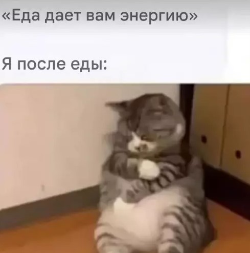 Котямбосы