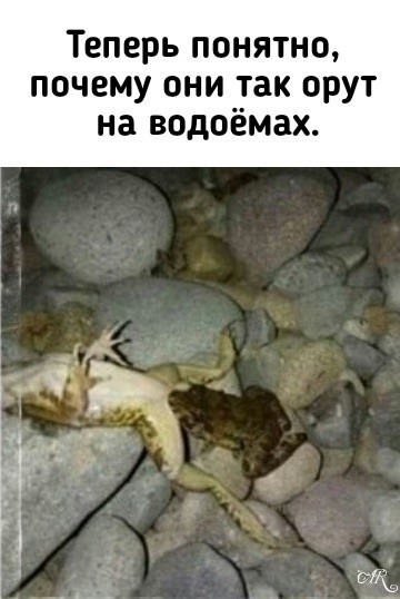 Картинки для улыбки