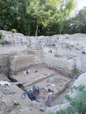 В Костёнках нашли украшения первых сапиенсов из раковин