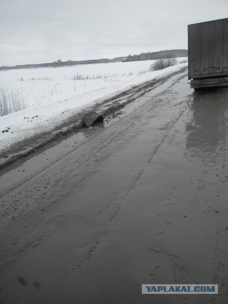 Озеленение Владивостока.