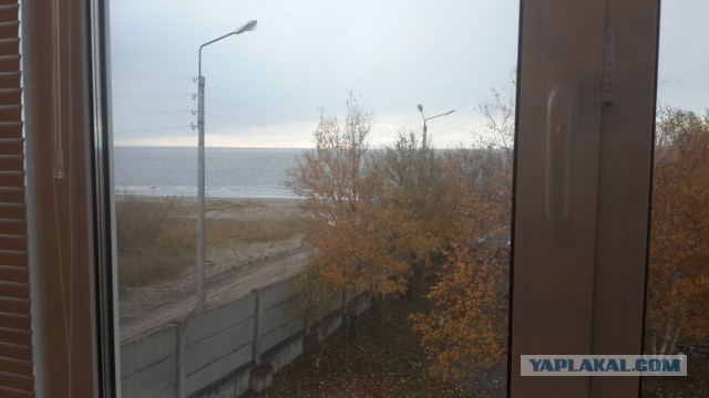 Сибирь матушка! а что у вас за окном?