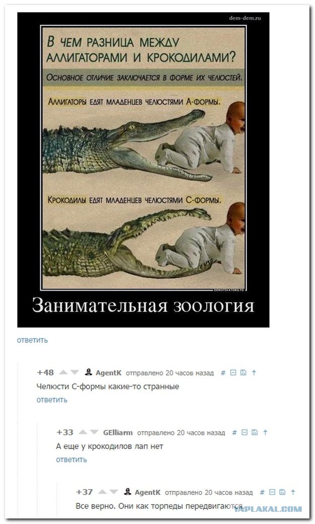 Комментарии из соцсетей, картинки