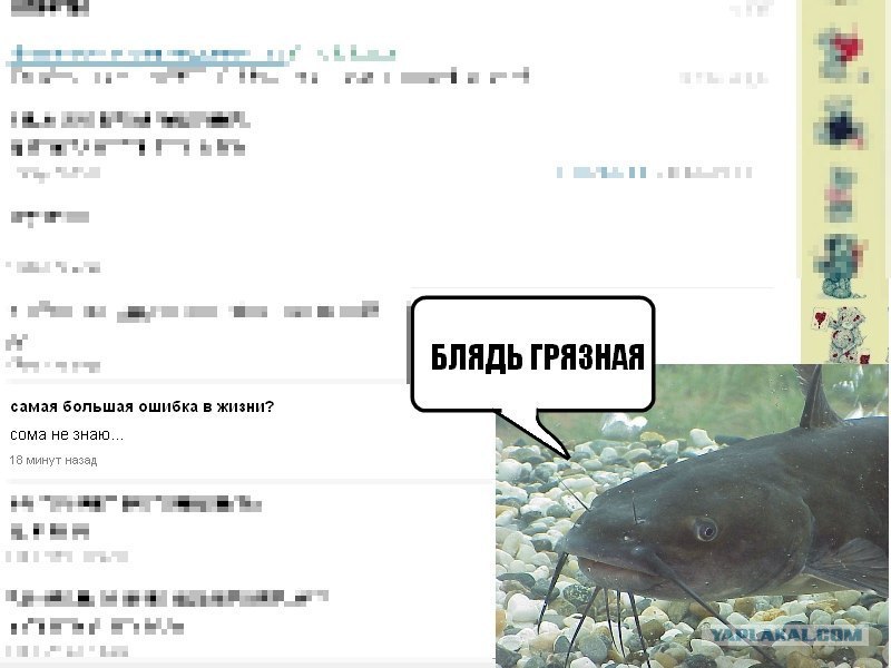 Сома Картинки Приколы