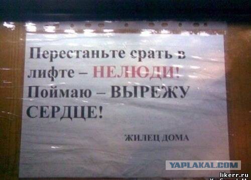 Как бороться с такими уродами?